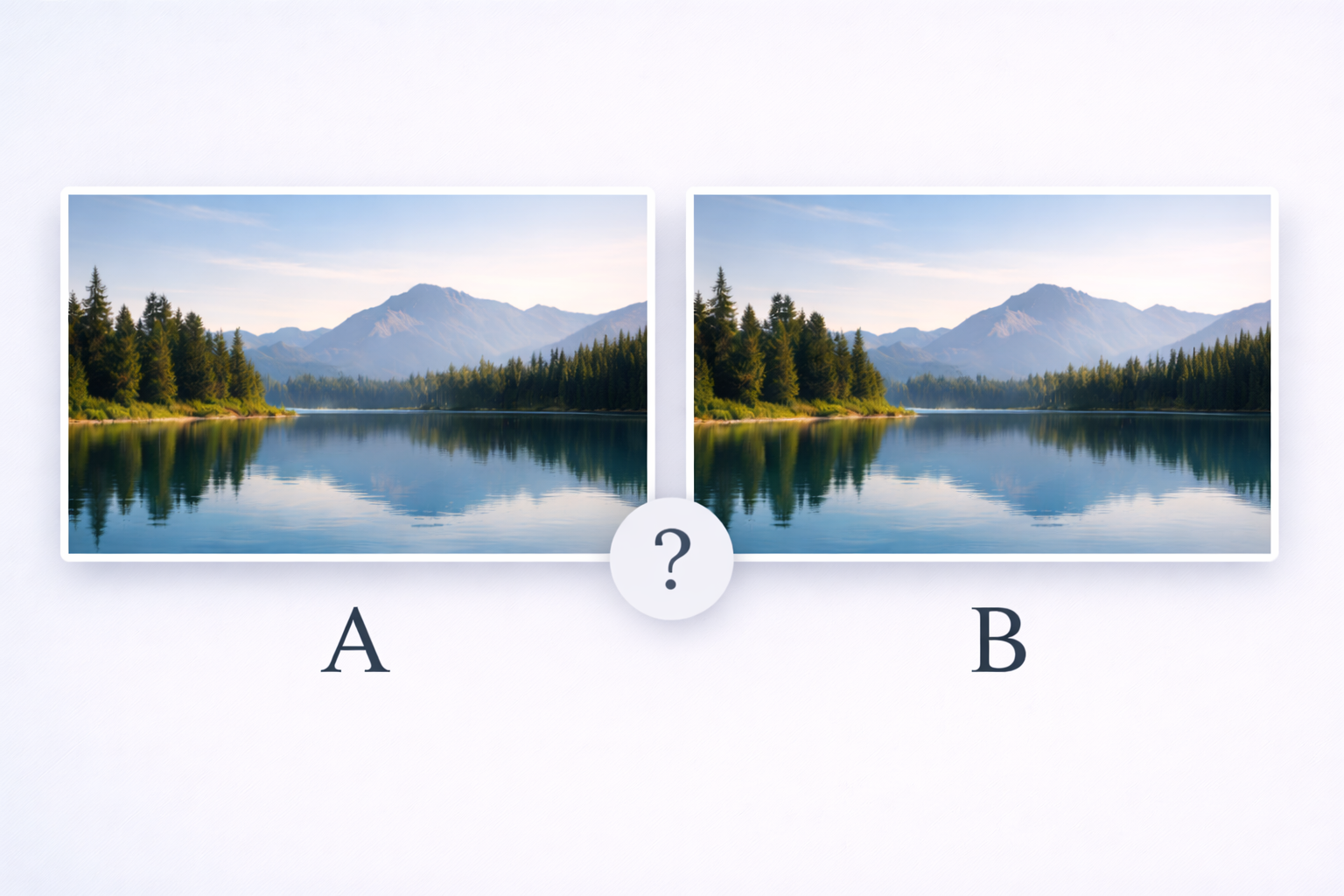 IMAGE_6: Side-by-side comparison of two identical-looking nature photos labeled A and B, with the question "Which one contains a hidden message?" — clean presentation, wide format