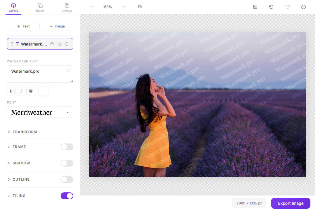 Interactive editor with layers panel, font controls, and live canvas