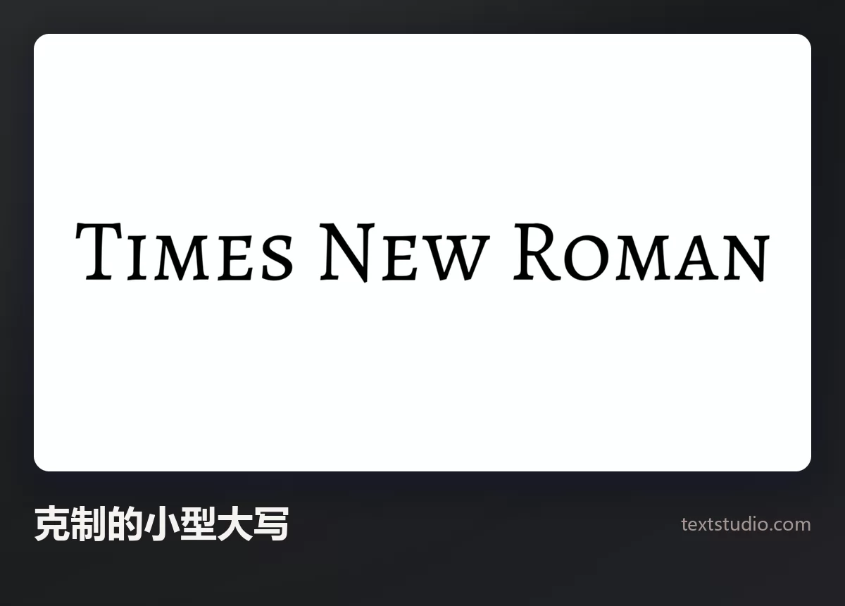 Times New Roman 这几个词以极简衬线体的小型大写排出，字距很宽，白底黑字