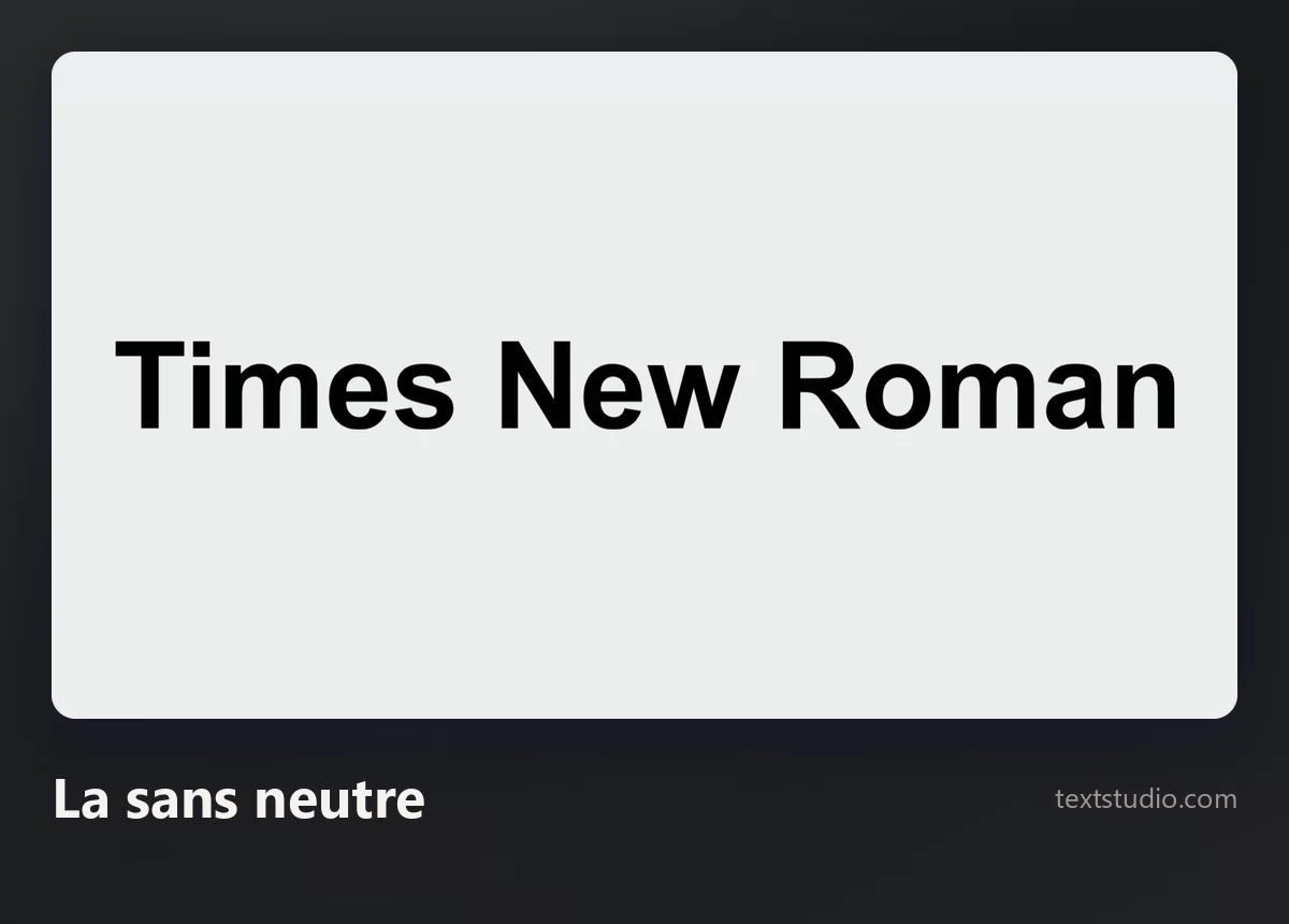 Les mots Times New Roman dans une sans-serif grise et neutre sur un fond clair