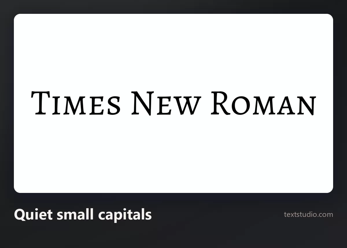 The words Times New Roman in a minimalist serif set in small capitals with wide letter spacing, black on white