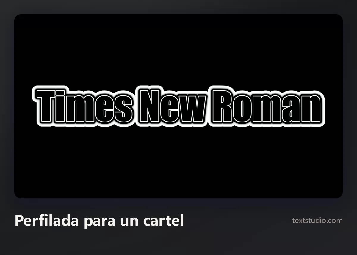Las palabras Times New Roman en letras blancas gruesas con un contorno negro marcado sobre un fondo negro