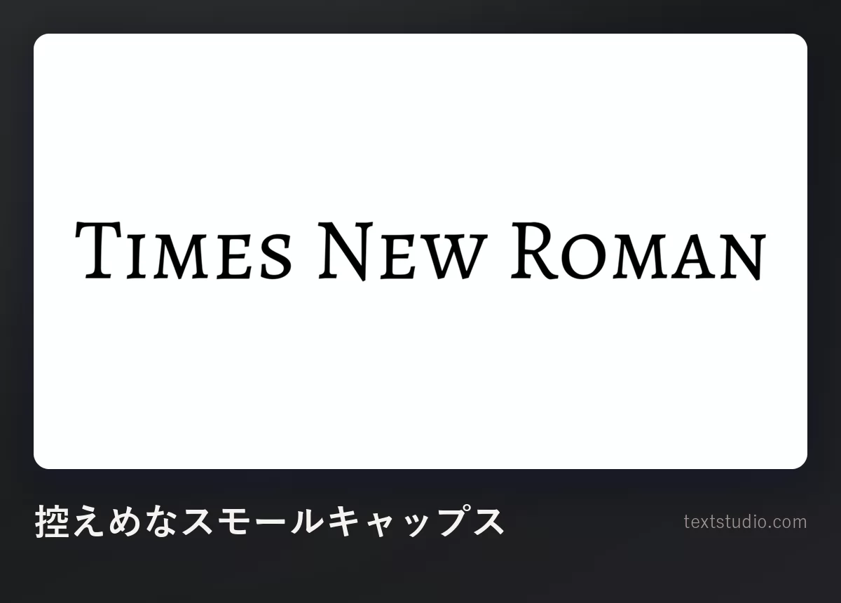 Times New Roman という言葉を、ミニマルなセリフ体のスモールキャップスで広い字間に組んだもの。白地に黒
