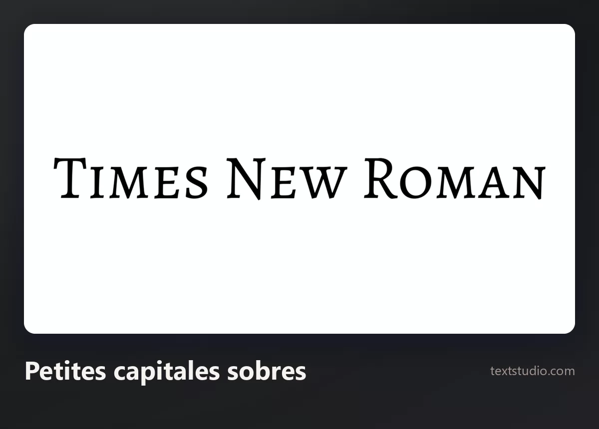 Les mots Times New Roman dans une serif minimaliste composée en petites capitales très espacées, en noir sur blanc