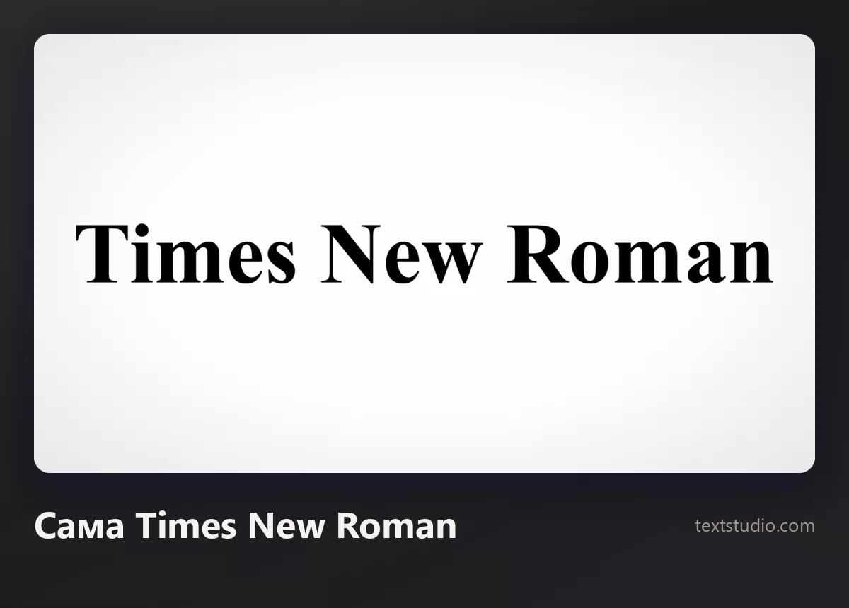 Слова Times New Roman гарнитурой Times New Roman, чёрные буквы с засечками на простом белом фоне
