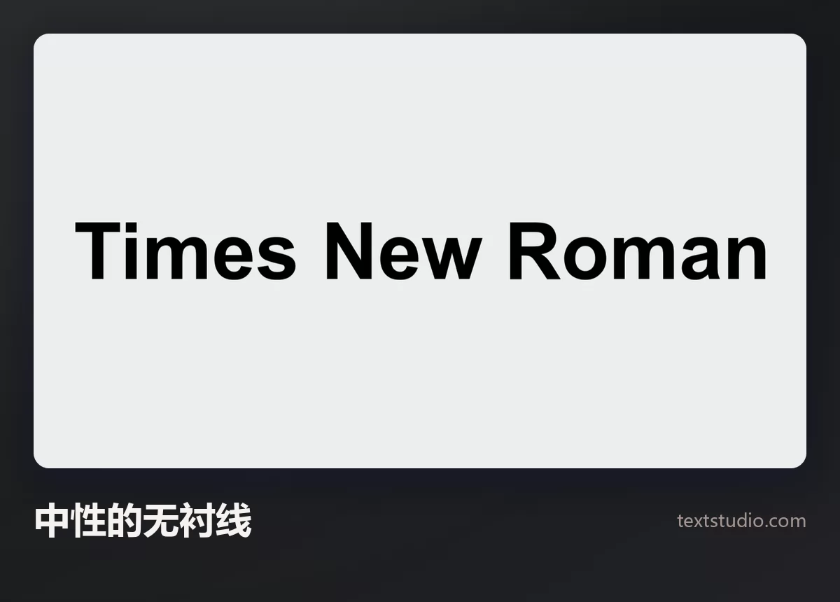 Times New Roman 这几个词以中性的灰色无衬线体呈现，背景是浅色